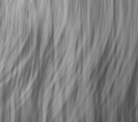 Impressions7
