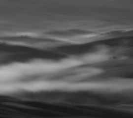 Impressions9