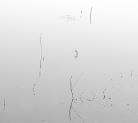 Photogravure